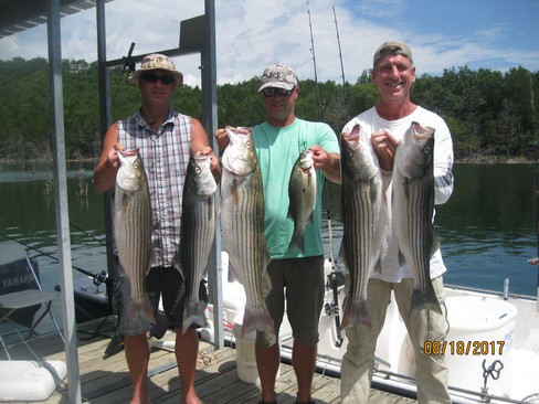 Nice Striped Bass